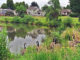Summerlake Park Goose Invasion Thwarted Summerlake Park, Tigard.