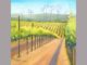 Calvin’s Art Gallery Presenting Third Art Exhibit