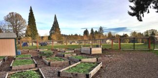 City and School Education/Recreation Partnerships