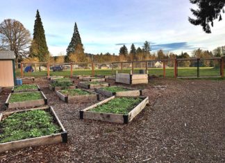 City and School Education/Recreation Partnerships