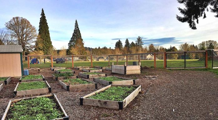 City and School Education/Recreation Partnerships