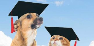 Pet Talk: This year’s first pet quiz