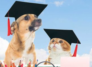 Pet Talk: This year’s first pet quiz