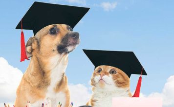 Pet Talk: This year’s first pet quiz