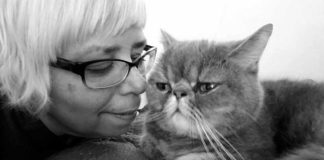 Is your cat stressed out?