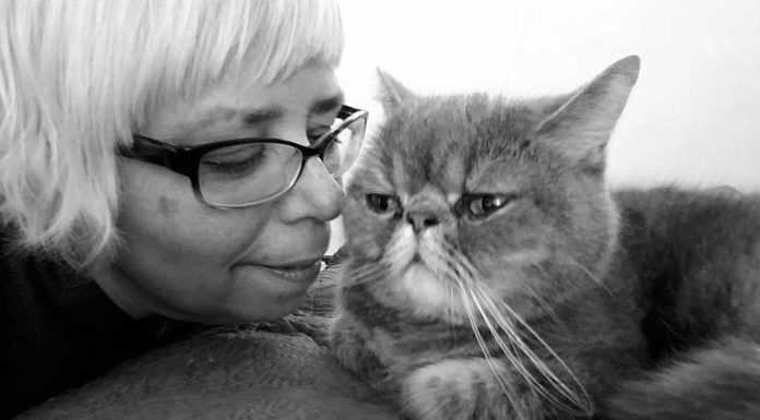 Is your cat stressed out?