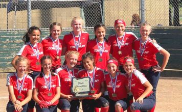 12u Bat Company Wins State Championship 12u bat company team, silver bullets, softball oregon state champion