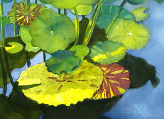 Calvin Fine Art Gallery Presents Northwestern Expressions Lily Pad Reflecting, Dee Rommel