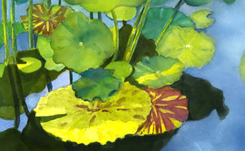 Calvin Fine Art Gallery Presents Northwestern Expressions Lily Pad Reflecting, Dee Rommel