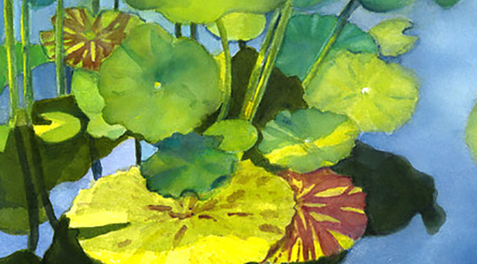 Calvin Fine Art Gallery Presents Northwestern Expressions Lily Pad Reflecting, Dee Rommel