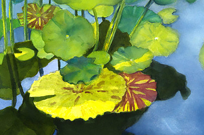 Lily Pad Reflecting, Dee Rommel