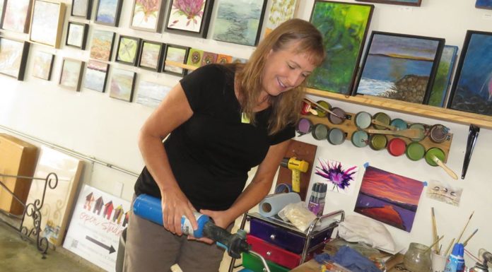 Tigard Artist One of 50 to Open Private Studios to Public art, art studio, Hirshmann