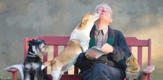 Pet Talk: ‘Tis the Season to be Great Pets, Family