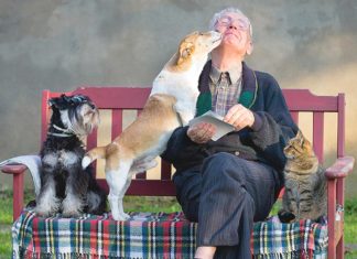 Pet Talk: ‘Tis the Season to be Great Pets, Family