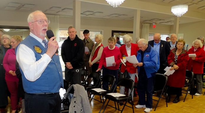 Veterans Day Events Hosted Throughout Tigard and King City