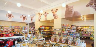 Pet Trends in the Next Decade Pet Talk, The Filling Station,
