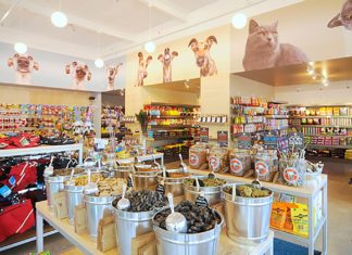 Pet Trends in the Next Decade Pet Talk, The Filling Station,