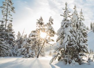 Life Starts A New Chapter After a Loss