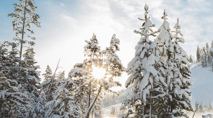 Life Starts A New Chapter After a Loss