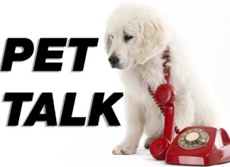 Pet Talk: Are You Prepared for a Pet Emergency?