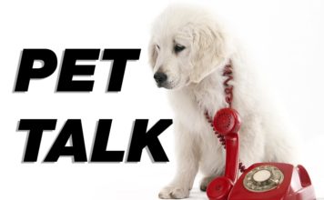 Pet Talk: Are You Prepared for a Pet Emergency?