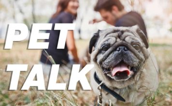 Pet Talk: August 2022