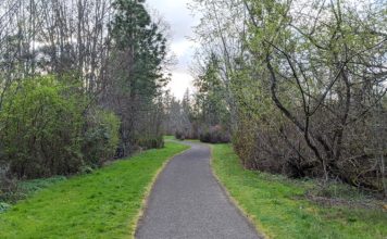 Council gives go-ahead for Fanno Creek Trail extension