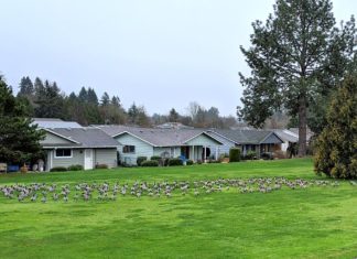 55+ Active Senior Communities