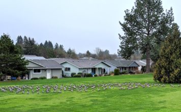 55+ Active Senior Communities