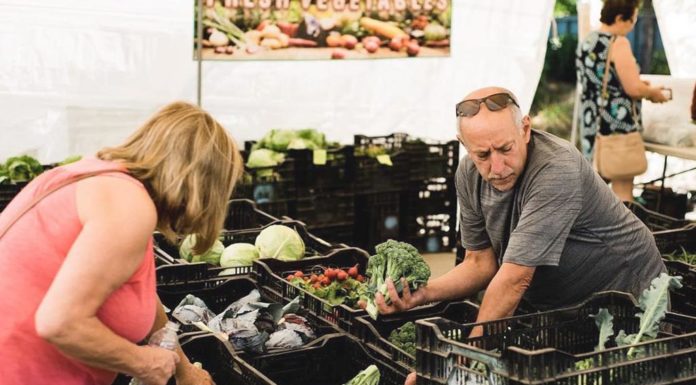 Tigard Farmers Market Opens for 28th Season!