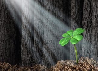 We Will Pull Through Together