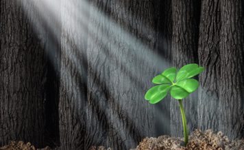 We Will Pull Through Together