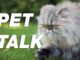Pet Talk: June 2020