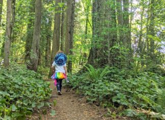 Tigard Parks – Where Should We Go? Making stick collections, spotting painted rocks and discovering new paths are some of the Tilley family’s favorite activities.