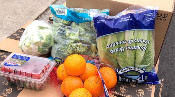 Food Boxes for Those in Need
