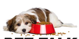 Pet Talk: September 2020