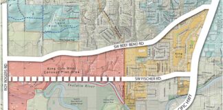 Rivermeade/Edgewater Residents and Stakeholders Consider Fischer Road Extension