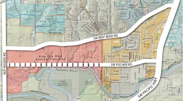 Rivermeade/Edgewater Residents and Stakeholders Consider Fischer Road Extension