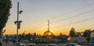 Speed Cameras Reveal Rampant Traffic Violations