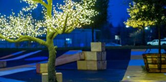 Universal Plaza Offers a Splash of Holiday Color