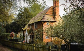 The Cottage Industry You Need to Avoid!