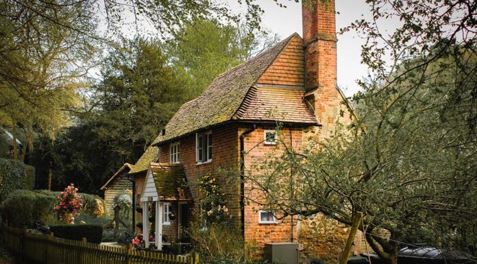 The Cottage Industry You Need to Avoid!