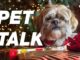 Holiday Gift Giving Ideas for Your Pets