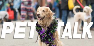 Pet Talk: New Year’s Resolutions