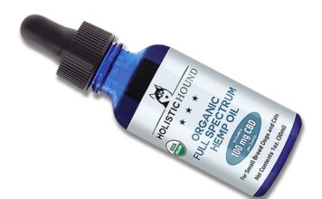 Can CBD Help My Pet?