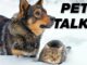 Pet Disaster Kit Checklist