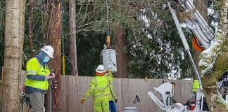 Damaging Ice, Snowstorm Leave Trail of Destruction