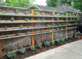 Rain Gutter Gardening