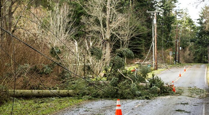 Emergency Preparedness: Neighborhood Ready