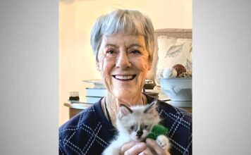 Everyone Needs a Laugh!